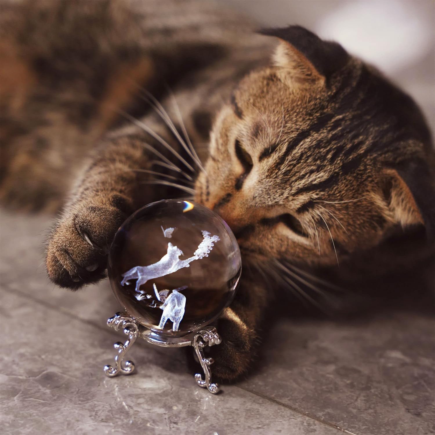 Bola de cristal de gato de 60m - 3D Printing Laser Cutting reseña y precio