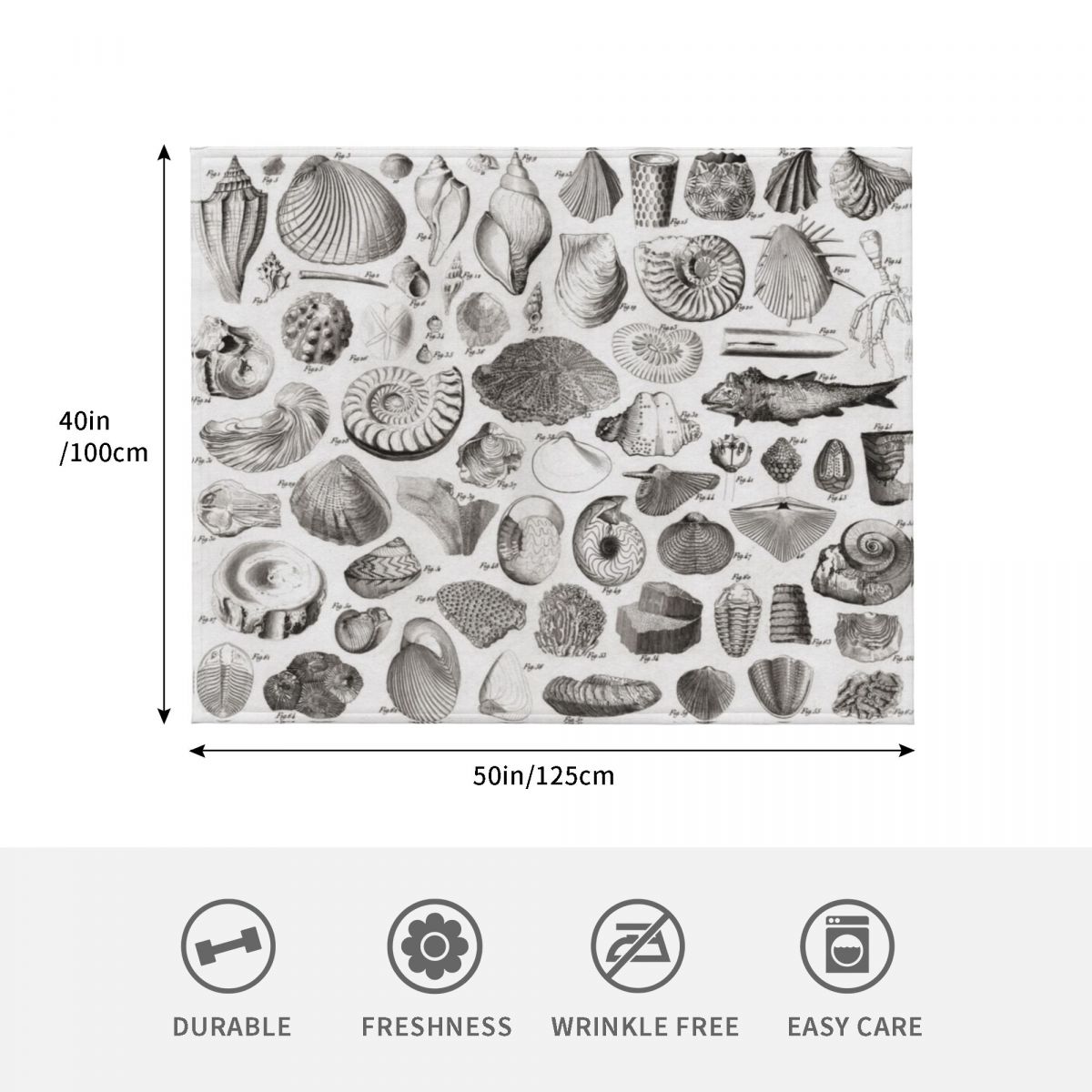 1857 Diagram Paleontology: Fos - 3D Printing Diagram reseña y precio